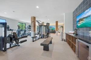 aura-main-street-lewisville-tx-fitness-lounge